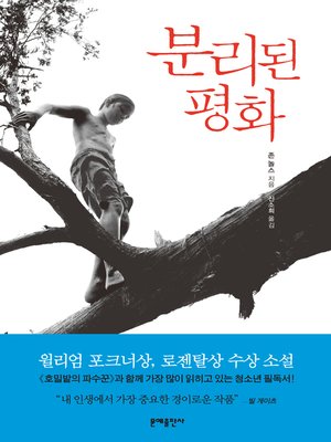 cover image of 분리된 평화